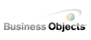 Business Objects